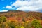 Majestic forested mountain and blue sky