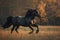 A majestic Friesian horse trotting gracefully across a sunlit pasture