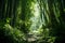 Majestic Giant Bamboo Trees Low-Angle Shot of a World Beneath the Canopy. AI