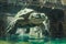 Majestic Giant Turtle Swimming in an Ancient Sunken City Ruins Underwater Fantasy Scene Illustration