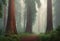 Majestic Giants: Giant Redwoods in a Misty Forest with Towering Trees