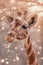 Majestic Giraffe Portrait with Snowflakes and Twinkling Lights, Serene Wildlife Scene