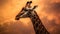 Majestic giraffe standing in the wilderness, backlit by sunset generated by AI