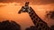 Majestic giraffe stands tall in Africa stunning wilderness at sunset generated by AI