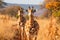 Majestic giraffes in africa s wild, embodying diverse wildlife and vast landscapes