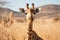 Majestic giraffes roaming the african savannah symbolizing untamed landscapes and diverse wildlife