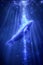 Majestic Glowing Whale Swimming Underwater with Light Rays Permeating the Deep Ocean Blue