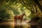 majestic Hannoveraner horse in the middle of a tree-covered hill, a creek in the foreground