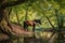 majestic Hannoveraner horse in the middle of a tree-covered hill, a creek in the foreground