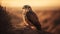 majestic hawk bird wildlife scene generated by AI