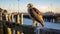 Majestic Hawk Perched On Old Pier - Backlit Photography