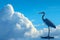 Majestic heron stands tall, silhouetted against the deep blue sky