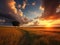 Majestic Horizon: Capturing the Drama of an Open Field Sunset