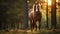 Majestic Horse in Forest at Sunset