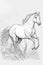 Majestic horse galloping through a field, line art for coloring book, white background, AI generative