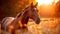 Majestic Horse in Golden Sunset Light on Countryside Farm