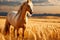 Majestic horse in golden wheat field at sunset - professional studio photography