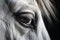 Majestic Horse head closeup. Generate Ai