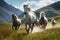 Majestic Horses Running in Mountain Meadow, AI Generated