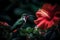 Majestic hummingbird, beautiful photography of a hummingbird feeding on hibiscus flower. Generative AI