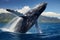 Majestic Humpback Whale: A Graceful Leap into the Deep Blue