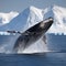 Majestic Humpback Whale Leaping in Antarctic Waters