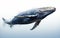 Majestic Humpback Whale on White -Generative Ai
