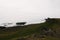 majestic icelandic landscape with rocks, grassy slope