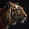 Majestic Intensity Tiger Head on Dark Canvas