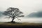 Majestic isolation a solitary tree emerges from the mist alone