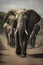 A Majestic Journey: Herd of Elephants Marching Down a Dusty Trail in the Wild, ai generative