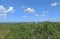 Majestic Jungle Panorama: The Grand Jaguar Temple Peeking Through the Verdant Canopy of Tikal, Peten, Guatemala