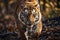 Majestic Jungle Tiger: Captivating Portrait