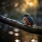 Majestic Kingfisher by the River