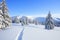 Majestic landscape in the cold winter morning. The wide trail. Christmas forest. Wallpaper background.