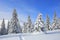 Majestic landscape in the cold winter morning. The wide trail. Christmas forest. Wallpaper background.