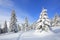 Majestic landscape in the cold winter morning. The wide trail. Christmas forest. Wallpaper background.