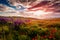 Majestic landscape, colorful sky over the poppy field, wonderful sunset. Landscape,