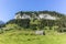 The majestic landscape of the steep Alpstein mountain range around the Aescher cliff in Appenzell, Switzerland