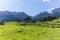 The majestic landscape of the steep Alpstein mountain range around the Aescher cliff in Appenzell, Switzerland
