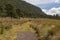 Majestic landscape view with hikers walking along with a hiking path surrounded nature scenes