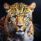 Majestic Leopard: Striking Oil Painting on a Black Background