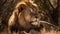 Majestic lion basking in the sun created with Generative AI