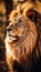 Majestic Lion Portrait in Golden Light, AI Generated