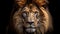 Majestic Lion Portrait with Intense Gaze on Black Background