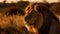 Majestic lioness in the African wilderness sunset generated by AI