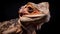 Majestic Lizard Portrait: A Mesmerizing Reptilian Encounter in Darkness\\\