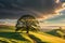 Majestic Lone Oak: Standing Proud on a Rolling Green Hill under a Dramatic Golden Hour Sky