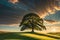 Majestic Lone Oak: Standing Proud on a Rolling Green Hill under a Dramatic Golden Hour Sky