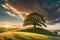 Majestic Lone Oak: Standing Proud on a Rolling Green Hill under a Dramatic Golden Hour Sky